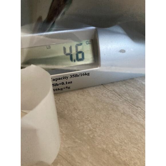 St. John Sport Top Small Short Sleeve Round Neck Raglan T Shirt Black Classic - Picture 12 of 12